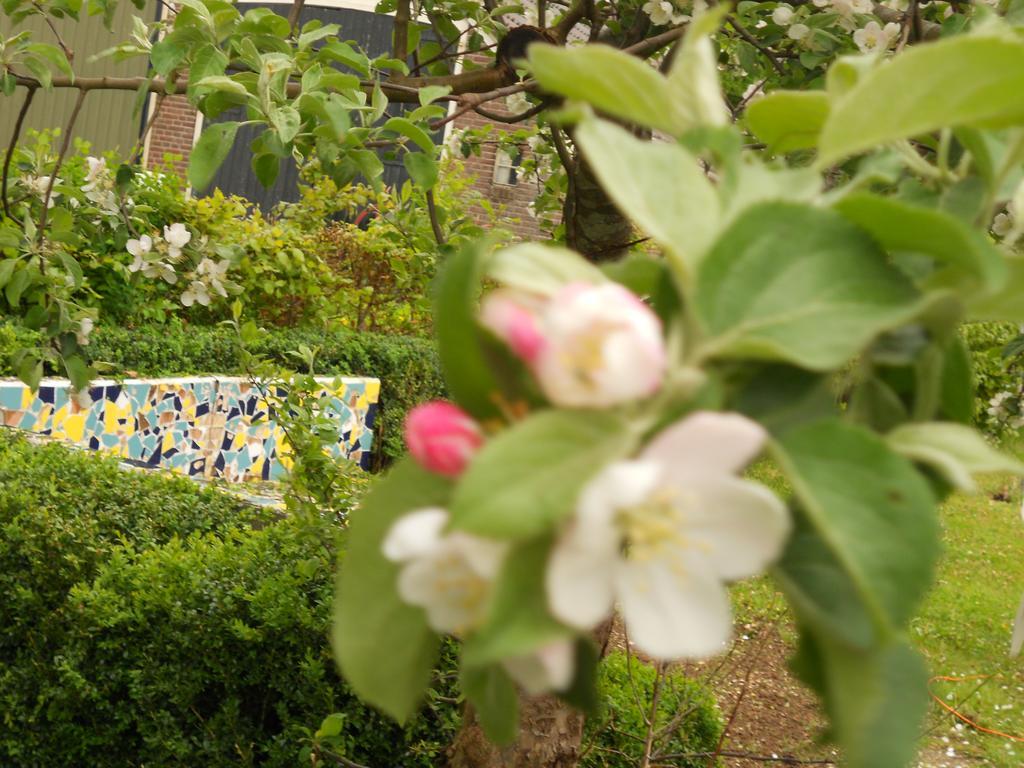 Gezond Boeren Verstand Dalerveen Exterior foto